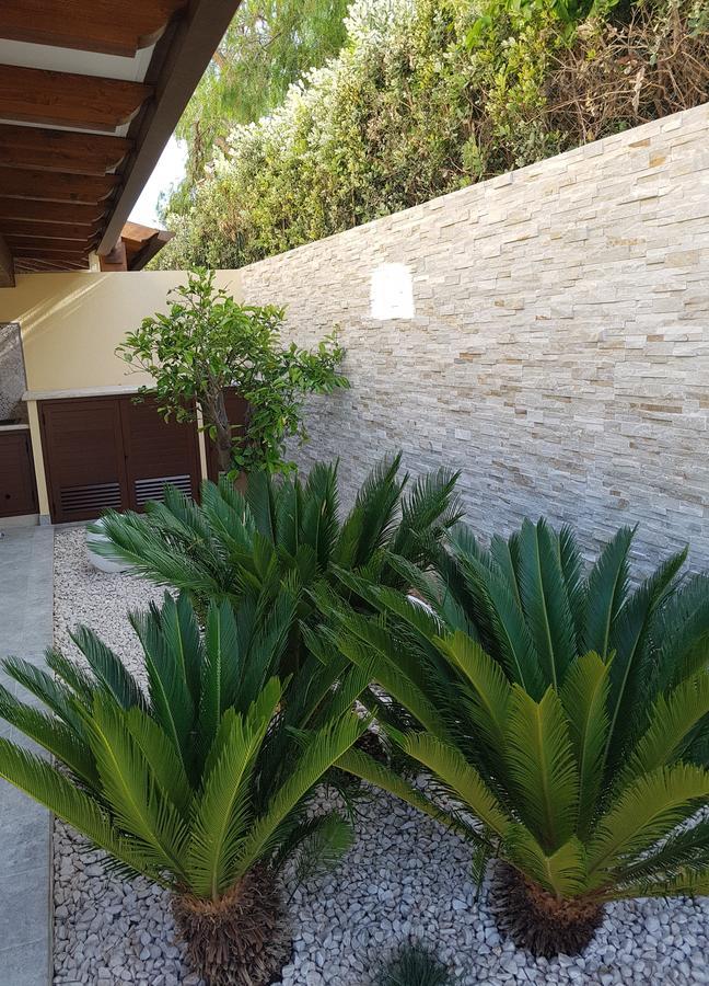 B&B Aloe Comfort Rooms San Vito Lo Capo Eksteriør billede