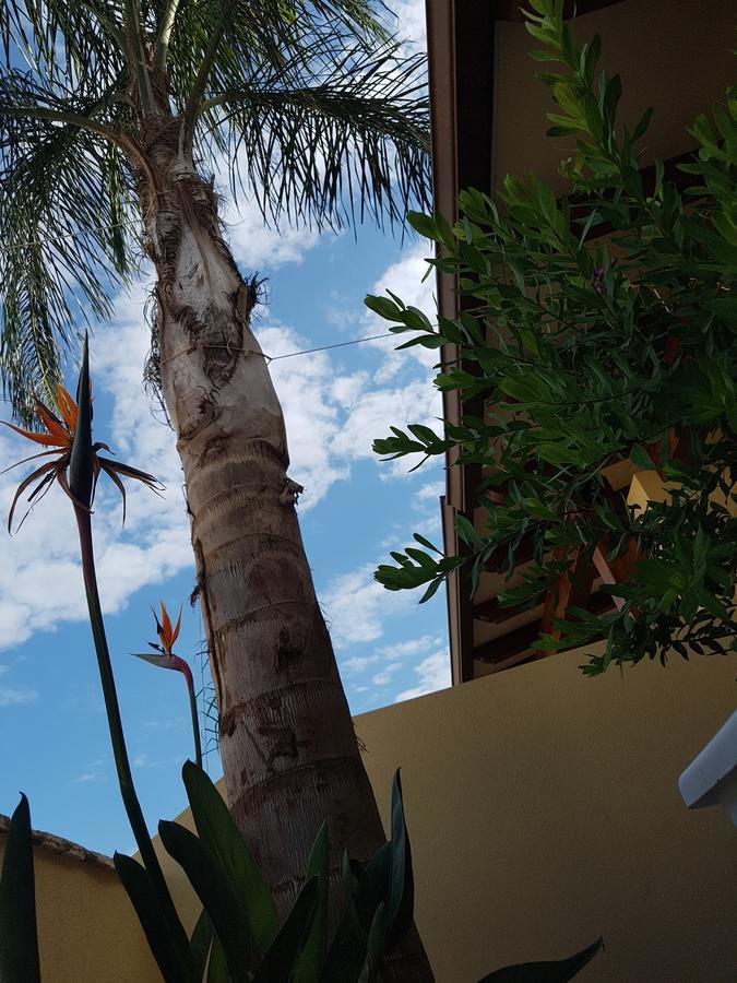 B&B Aloe Comfort Rooms San Vito Lo Capo Eksteriør billede