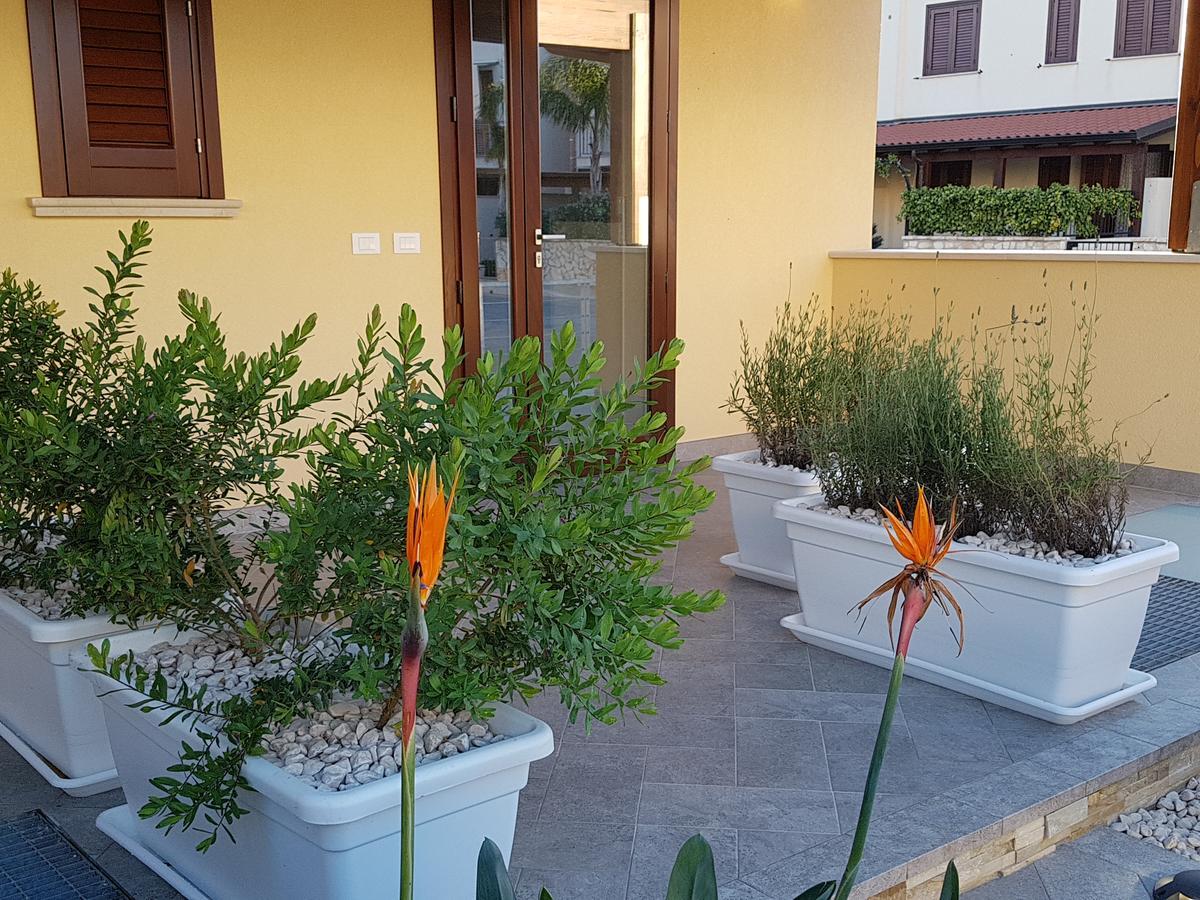 B&B Aloe Comfort Rooms San Vito Lo Capo Eksteriør billede