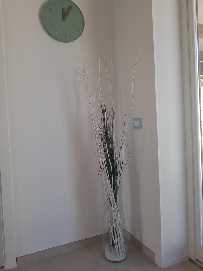 B&B Aloe Comfort Rooms San Vito Lo Capo Eksteriør billede